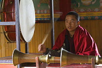 Young Buddhist monk during puja, Anden Gumpa, between Sombare and Hilley, West Sikkim, India October 2007