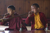 Young Buddhist monks blowing horns during puja, Anden Gumpa, between Sombare and Hilley, West Sikkim, India October 2007
