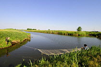 Research scientists fixing net across canal to sample fish, Parco Delta del Po, NE Italy  2008