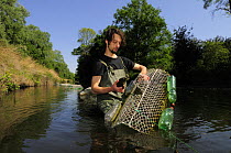 Research scientist removes European pond turtle {Emys orbicularis} from a sampling trap in the river, Parco Delta del Po, NE Italy  2008