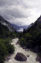 River flowing through wooded valley, Triglav National Park, Sava Dolinka, Slovenia