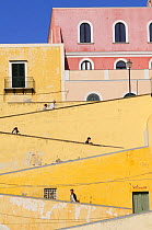Buildings form a walkway in coastal town, Ventotene, Pontine Islands, Italy  2008
