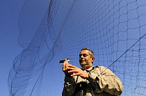 Research scientist checks bird net at field research station for the study of bird migration, Ventotene, Pontine Islands, Italy~ 2008