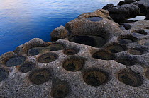 Roman salt mining basins on coast of Ventotene island, Pontine Islands, Italy 2008