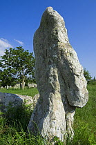 The menhirs / standing stones of Kerzerho, Erdeven, Brittany, France. May 2008.
