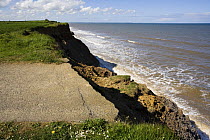 Coastal erosion washes road away on Yorkshire coast, UK