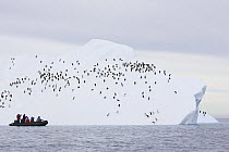 Tourists watching flock of Adelie Penguin (Pygoscelis adeliae) on iceberg, Paulet Island, Antarctica