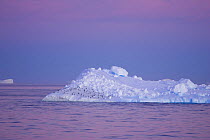 Flock of Chinstrap Penguin (Pygoscelis antarctica) on iceberg at sunset, Weddell Sea, Antarctica
