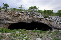 Frio Cave, near Concan in the Texas Hill Country, Texas, USA. This cave is the second largest bat cave for Mexican Free-tailed Bat (Tadarida brasiliensis) in the world and contains between 10 to 15 mi...