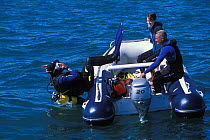 Scuba diver entering water backwards from Honda Marine semi-rigid inflatable boat, 2004