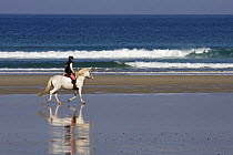 Horse rider on the beach at Trepasses Bay, Brittany, France, October 2007.