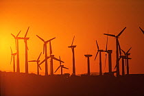 Wind turbines at sunset, California, USA