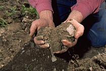 Handful of healthy soil, Colorado, USA