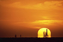 Off-shore oil rig silhouetted against setting sun, Gulf of Mexico, off Texas coast, USA