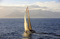 "Ericsson 4" arriving in Cape Town to win the first leg of the Volvo Ocean Race into Cape Town, November 2008.The 10th Volvo Ocean Race, 2008-09. For EDITORIAL USE only