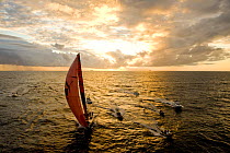 "Puma" arriving in Cape Town to come second in leg one of the Volvo Ocean Race into Cape Town, November 2008. The 10th Volvo Ocean Race, 2008-09. For EDITORIAL USE only.