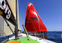 "Green Dragon" and "Puma" in-port race training in Alicante, Spain, for the 10th Volvo Ocean Race 2008-2009. For EDITORIAL USE only.