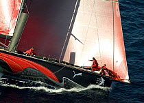 "Puma" during in-port Race 1, Alicante, Spain. Volvo Ocean Race 2008-2009. For EDITORIAL USE only.