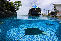 Split-level image of swimming pool and ship / restaurant named The S/V Mnuw (Sea Hawk) at the Manta Ray Bay Hotel on the island of Yap, Micronesia. September 2007.