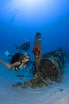 Two divers on a WW II Corsair fighter plane off South-East Oahu, Hawaii. July 2007. Model released