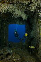 Diver looking through the window of the wreck of the YO257 off Waikiki, Oahu, Hawaii.  Model released