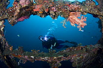 Diver (MR) exploring the "Liberty" wreck, Tulamben, Bali, Indonesia. August 2008. Model released