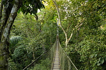 Man crossing rainforest canopy walkway at 70ft above ground level, Tambopata National reserve, Amazonia, Peru