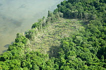 Aerial view of clear-cut rainforest, Amazonia, Brazil