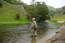 Fly fishing for Brown Trout and Grayling on the River Dove, Peak District NP, Derbyshire, UK, September