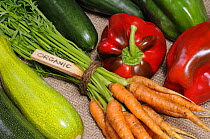 Freshly harvested home grown organic vegetables with 'organic' label, carrots, peppers, courgettes, cucumbers, UK