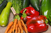 Freshly harvested home grown organic vegetables with 'organic' label, carrots, peppers, courgettes, cucumbers, UK