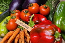 Freshly harvested home grown organic vegetables with 'organic' label, carrots, peppers, courgettes, cucumbers, aubergine, tomatoes, UK