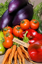 Freshly harvested home grown organic vegetables with 'organic' label, carrots, peppers, courgettes, cucumbers, aubergine, UK