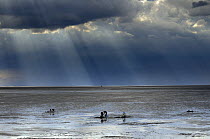 The Wash, Norfolk, beach landscape with storm clouds and bait diggers, UK, August