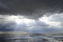The Wash, Norfolk, beach landscape with storm clouds and bait diggers, UK, August