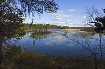 Typical shallow lake in summer, habitat for Ospreys, Whooper Swans and waders, Lapland, Finland