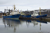 Modern Russian deep-sea trawlers moored in Batsfjord Harbour. The collapse of fish stocks has seen such new boats spending less and less time at sea. Varanger, Norway