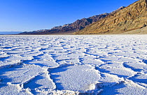 Salt formations at Badwater in Death Valley NP, California, USA