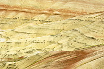 The Painted Hills, John Dan NM, Oregon, USA