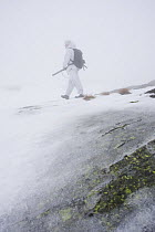 Grouse hunter in white snow camouflage, with a shotgun, in mist, Norway. February