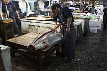 Slicing Tuna in half, Tsukiji fish market, Tokyo, Japan
