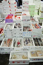 Crates of frozen fish, Tsukiji fish market, Tokyo, Japan