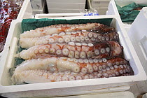 Octopus legs sold for food, Tsukiji fish market, Tokyo, Japan