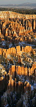 Bryce canyon NP at dawn with snow, Utah, USA