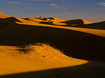 Sand dunes at Erg Chebbi, Sahara desert, Tafilalt, Morocco