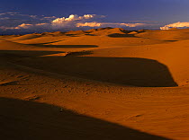 Sand dunes at Erg Chebbi, Sahara desert, Tafilalt, Morocco