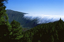 Waterfall of cloud tumbliing over the Cumbre Nueva, La Palma, Canary Islands.