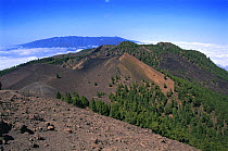 San Juan Volcano, La Palma, Canary Islands. This view is looking north towards the Duraznero crater, the Nambroque volcano and the Hoyo Negro. In the far distance is the Caldera de Taburiente.