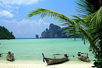 Boats pulled up onto the beach of The Phi Phi islands, Krabi Province, southern Thailand.
