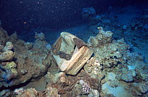 A suitcase lying on the coral reef, a reminder of one of the worse shipping accidents to have occurred in the northern Red Sea, the sinking of the Salem Express on the night of the 15th December 1991.